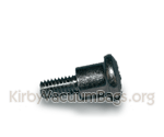 Kirby Rug Renovator Bumper Screw